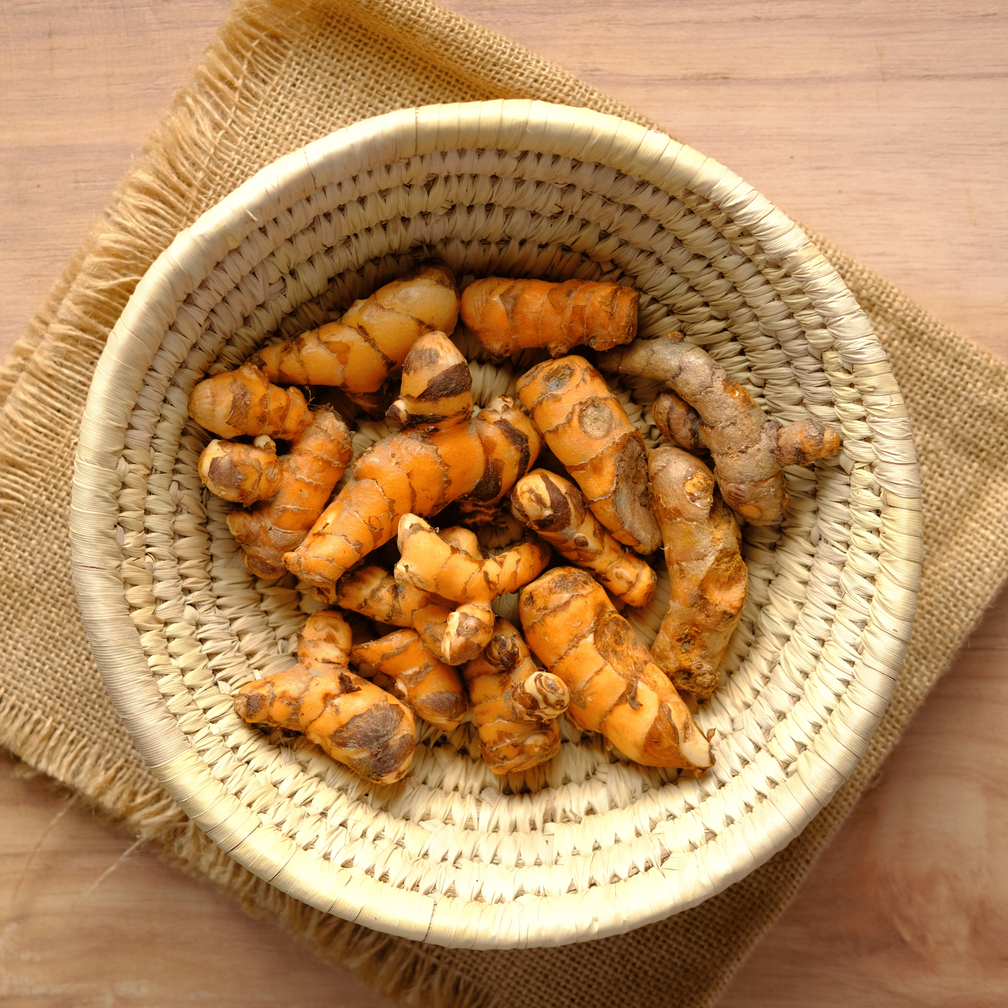 Showcase Tumeric Fresh Wild-Variety Tumeric | Tumeric Farmer